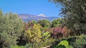 A garden with various plants and a mountain in the background. - Luxury 3 BR Villa in Marrakesh With Private Pool, Marrakesh Villa 1000 (Ourika)