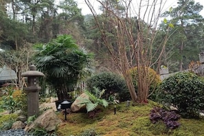 A garden with a stone lantern, large rocks, and various plants. - Mountain and Courtyard Homestay (Hengyang)