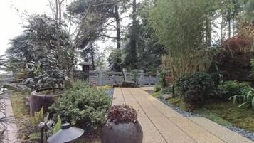 A pathway leading through a garden with various plants and trees.