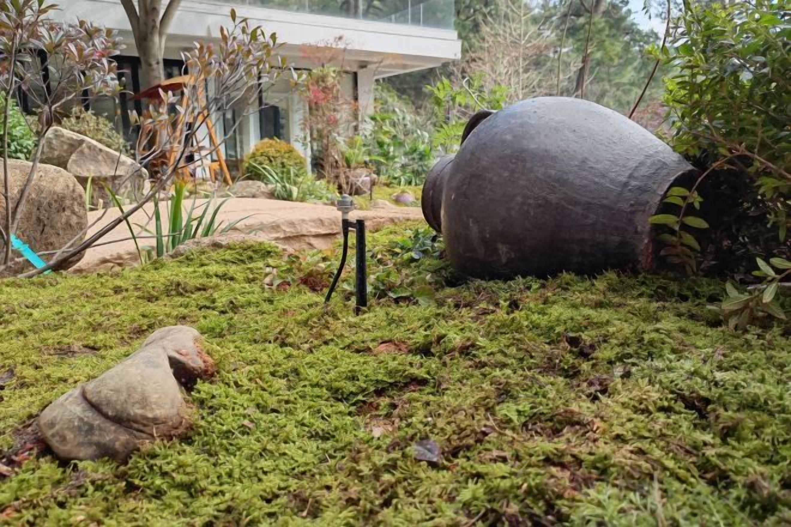 Un jardin recouvert de mousse, avec des rochers et un grand objet cylindrique.