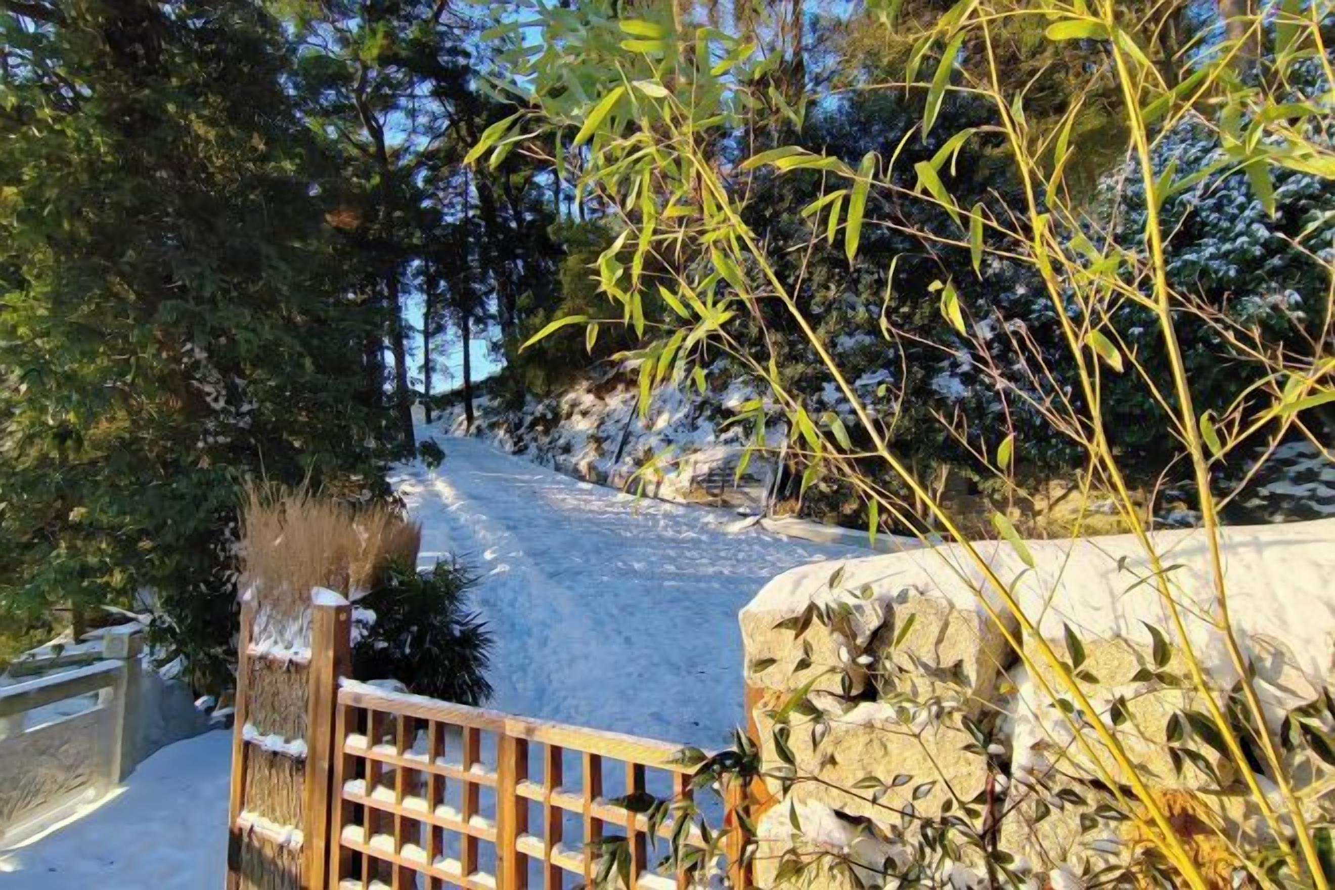 A snow-covered path leading through a wooded area with a wooden gate and a stone wall.
