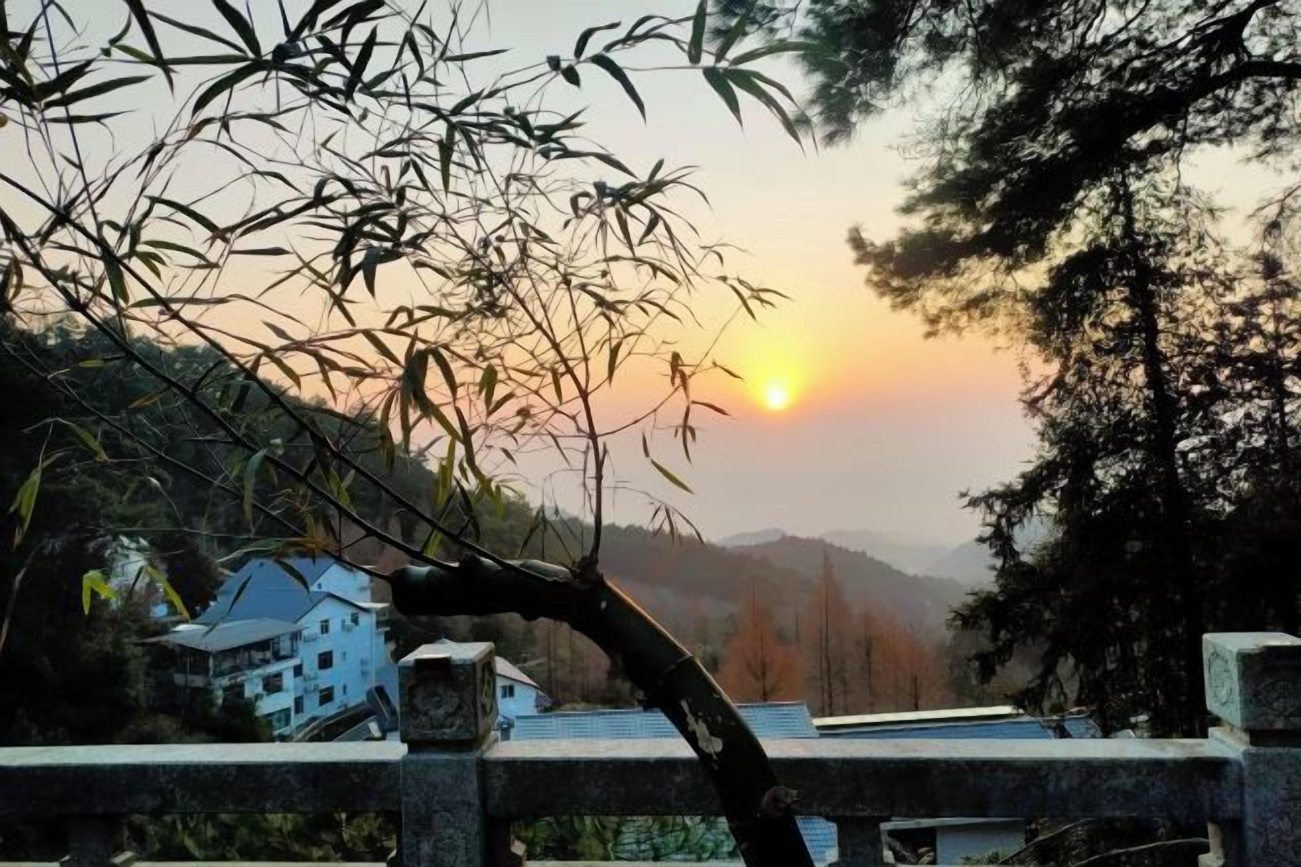 Un atardecer con vistas a una casa y bambúes.