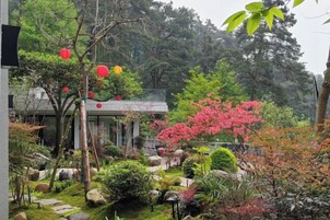 Un jardín con diversas plantas, un sendero y un edificio con fachada de vidrio.
