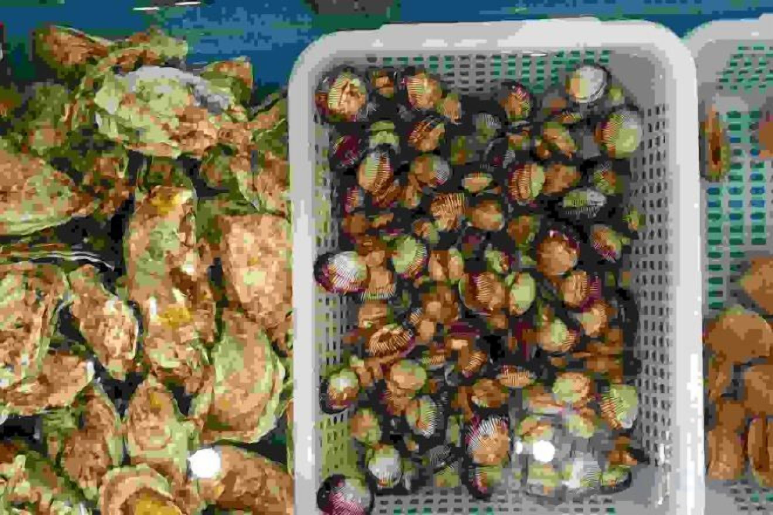 A basket filled with various items, possibly food or snacks, and a pile of dried leaves or similar material.