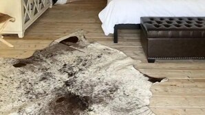 Une pièce aménagée comme une tente, avec un lit, une commode et une grande peau de bête servant de tapis.