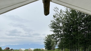 Uitzicht vanuit onder een tent of luifel, over een grasveld met bomen en gebouwen in de verte.