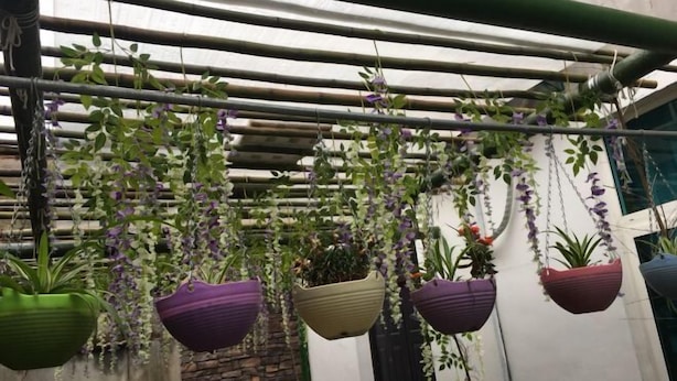 Un jardín colgante con diversas plantas en macetas.