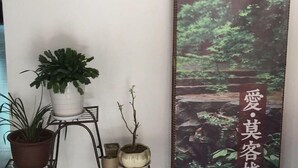 Una habitación con pared blanca, una mesita de metal con plantas en macetas y un cuadro con una escena de bosque.