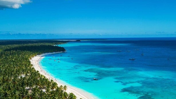 A tropical beach with clear turquoise waters, a sandy shore, and dense palm trees.