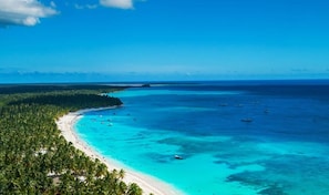 A tropical beach with clear turquoise waters, a sandy shore, and dense palm trees.