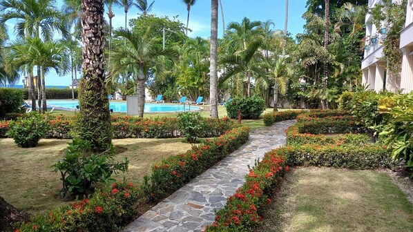 A well-maintained garden with a stone pathway, palm trees, and a pool in the background.