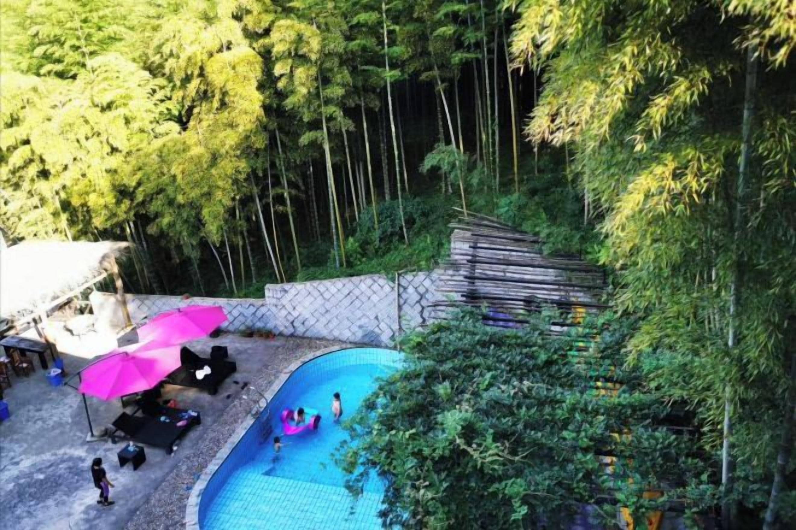 Una piscina rodeada de exuberante vegetación, con un muro de piedra y una terraza de madera.
