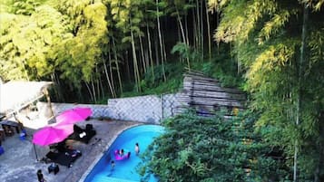 Una piscina rodeada de exuberante vegetación, con un muro de piedra y una terraza de madera.