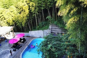 Une piscine entourée d’une végétation luxuriante, avec un mur en pierre et une terrasse en bois.
