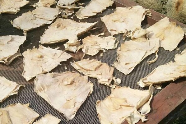 A drying rack with several pieces of dried material.
