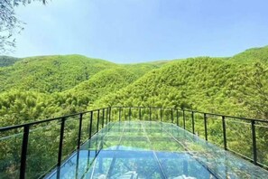 Un puente de cristal con barandilla metálica, rodeado de colinas verdes y exuberantes.