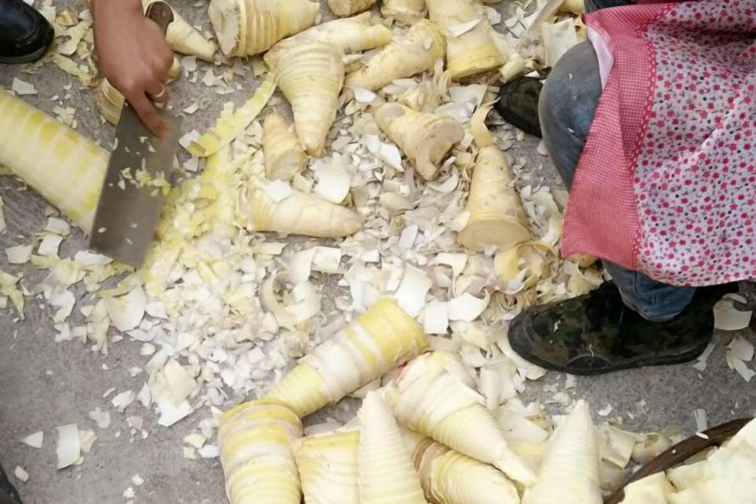 A person peeling a banana on the ground.