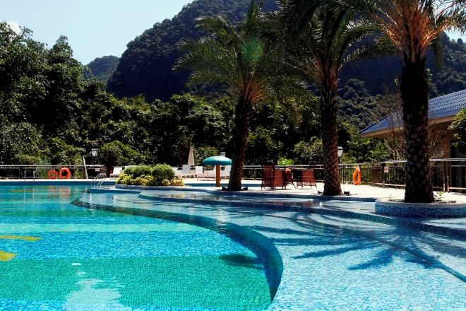 A swimming pool with a curved edge, surrounded by palm trees and a mountainous backdrop.