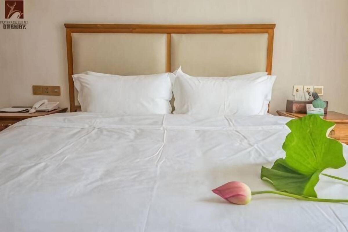 A hotel room with a large bed, a wooden headboard, a nightstand with a phone, and a green plant.