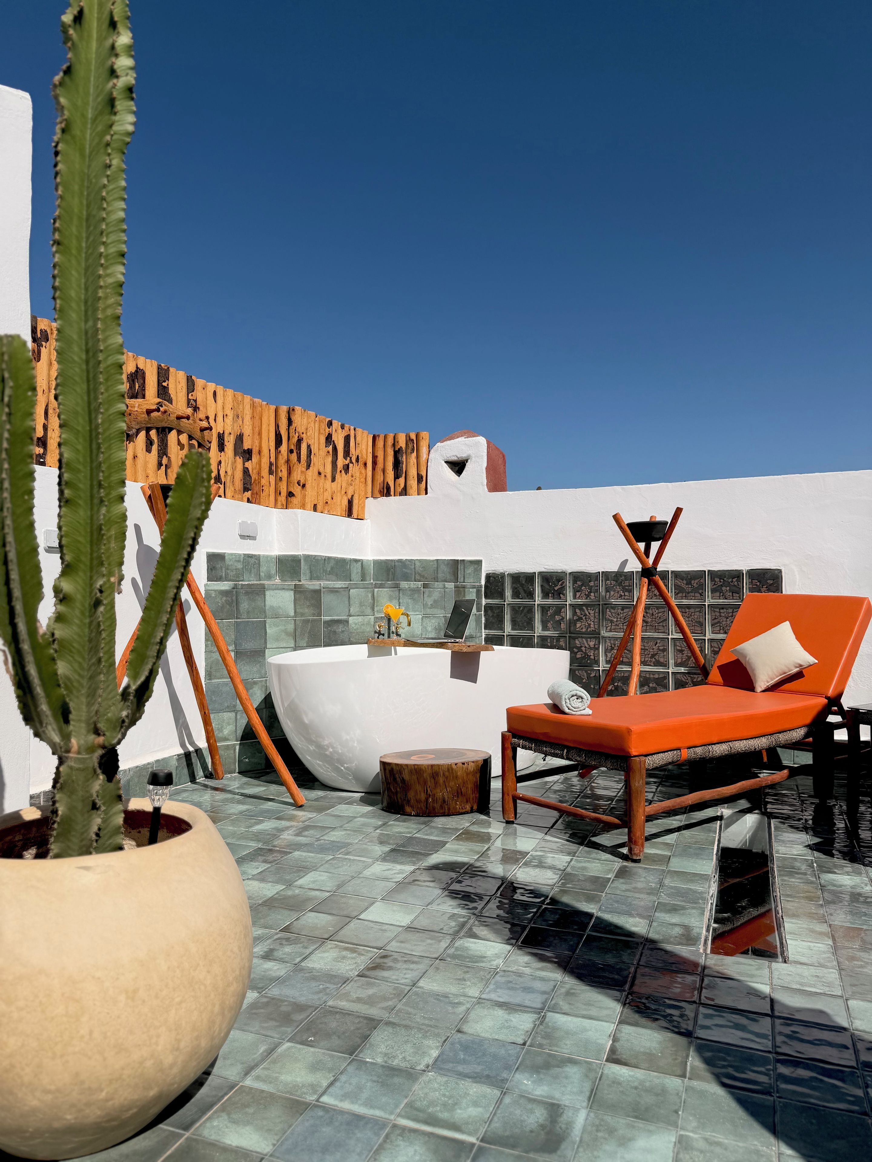 A rooftop pool area with a lounge chair, a large potted plant, and a wooden deck.