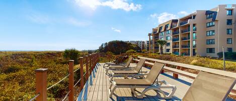 テラス / パティオ