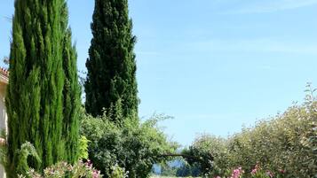 Área da propriedade