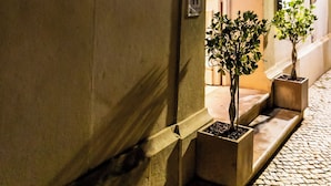 A building facade with a sign reading 'D'Horta CASCAIS' and a potted plant in the foreground.