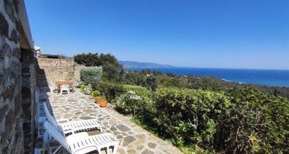 Atypical house with garden in Bormes-les-Mimosas