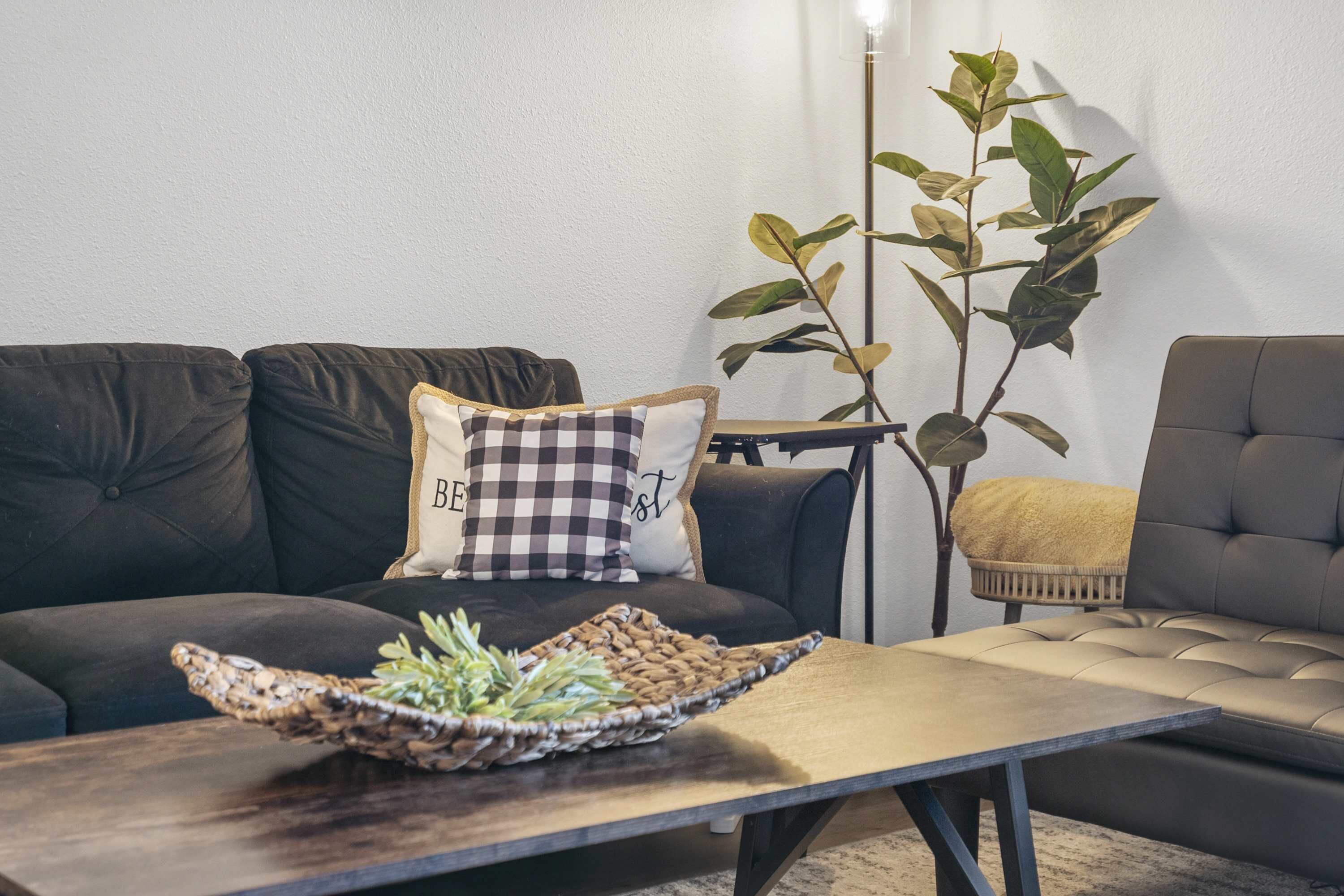 A living room with a dark sofa, a coffee table with a woven basket, and a plant.