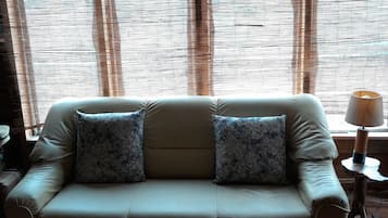 Lareira, DVD player, livros, biblioteca musical