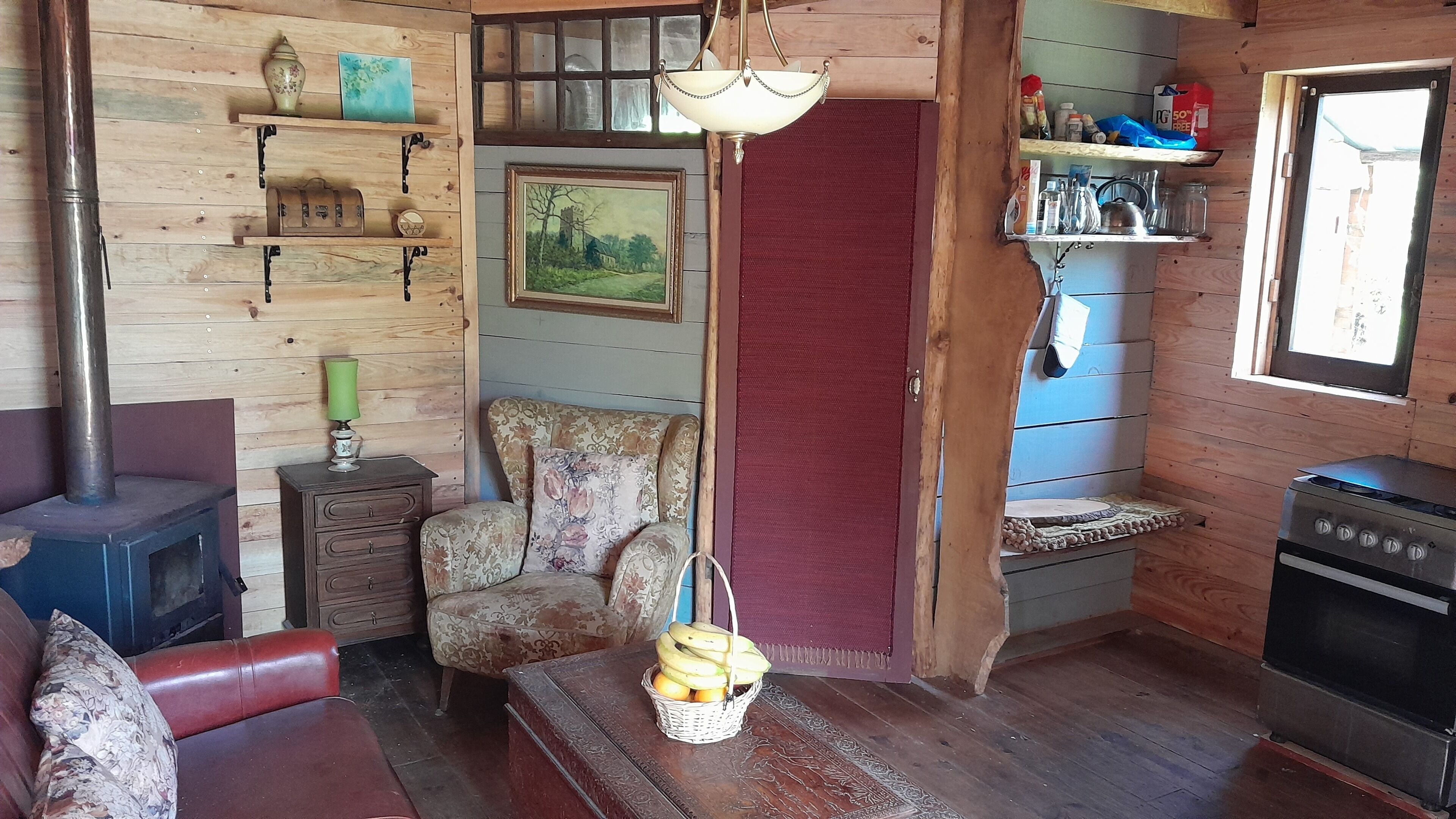 Fireplace, DVD player, books, music library