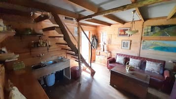 壁爐、DVD 播放機、書籍、音樂庫