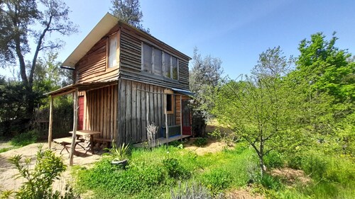 Off-grid, romantic wooden cabin with library and cottage gardens