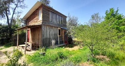 Off-grid, romantic wooden cabin with library and cottage gardens