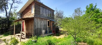 Off-grid, romantic wooden cabin with library and cottage gardens