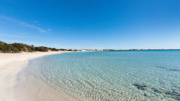 A clear beach with a sandy shore and calm water. - 3169 Villa Enea by Barbarhouse (Porto Cesareo)