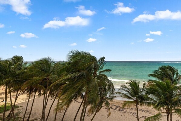 Relax on a wide, sandy beach surrounded by palm trees.
