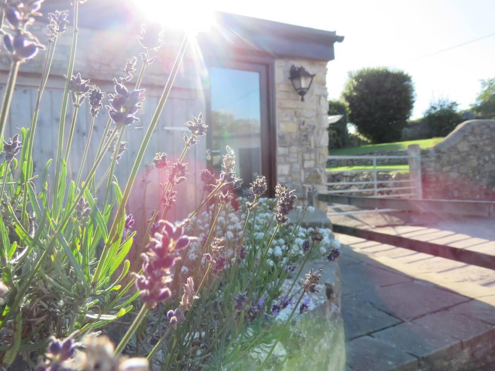 Småhus | Overnattingsstedets uteområder