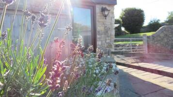 Casa de campo | Área da propriedade