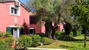 A pink building with a tiled roof, green shutters, and a well-maintained garden with various shrubs and a large tree.