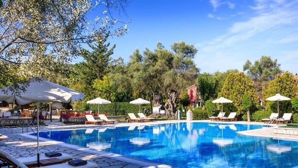 A pool area with lounge chairs and umbrellas, surrounded by trees and a stone pathway.