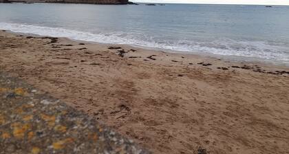 Charming Eyemouth 1-bed Apt, Sleeps 2 Near Beach