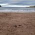 Charming Eyemouth 1-bed Apt, Sleeps 2 Near Beach