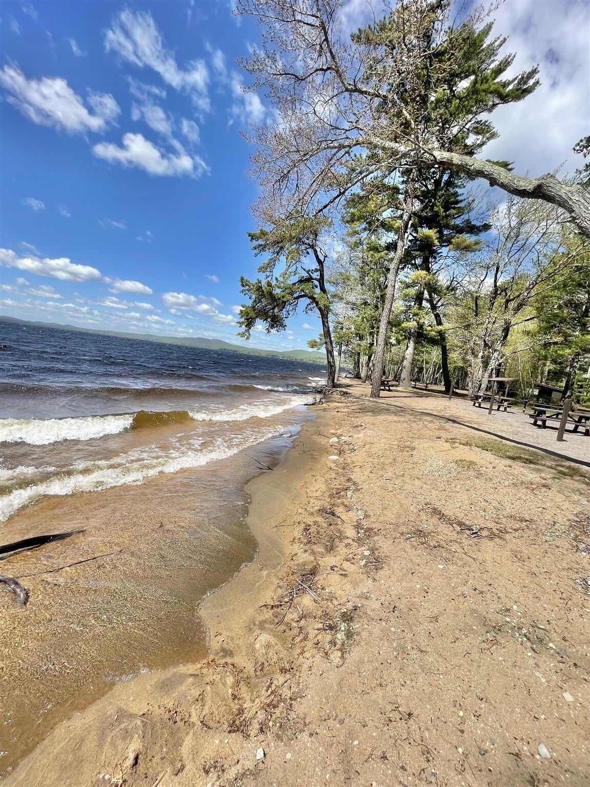 Una playa con cielo despejado, orilla arenosa y árboles.