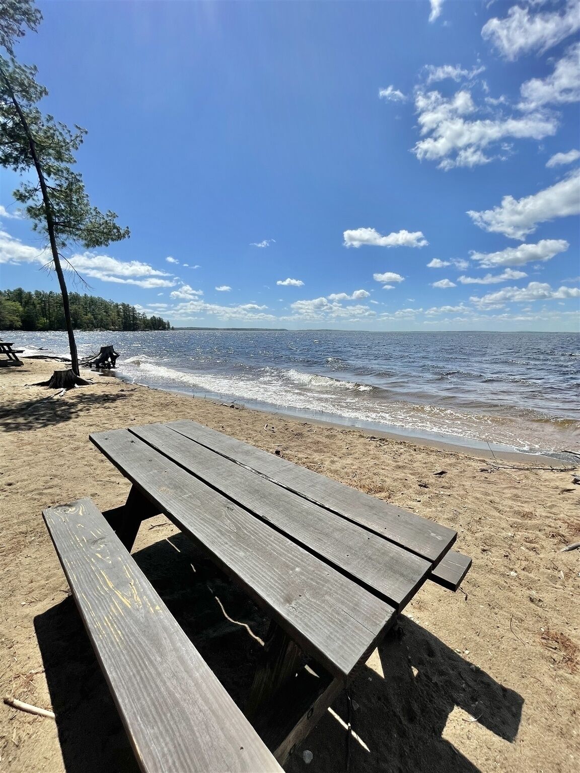 A wooden bench on a sandy beach with a clear sky and calm sea in the background.