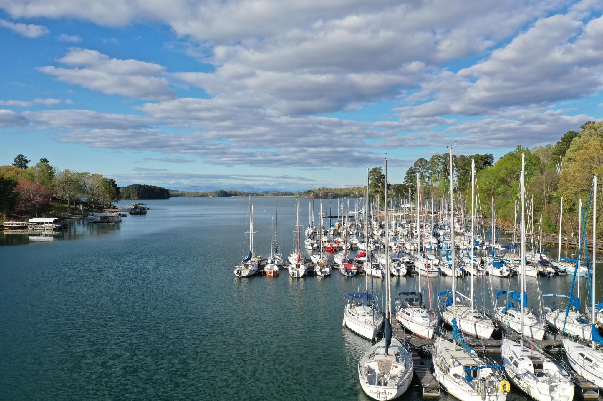 A marina with numerous sailboats docked, surrounded by trees and a calm body of water.