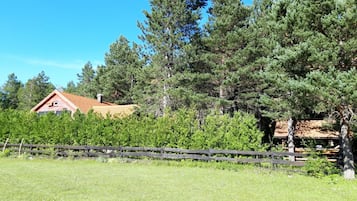Chalet | Property grounds