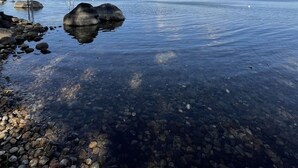Um lago límpido com pedras visíveis e um cais que se estende para a água.