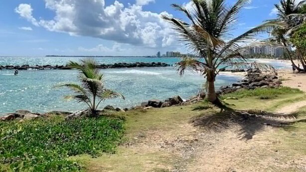 A beach path with palm trees, a clear sky, and a distant city skyline. - Puerto Rico Beachside Rental w Pool Otium Rentals (San Juan)