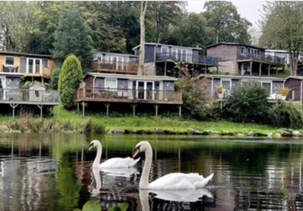 Cottage | Exterior - Charming Two Bed Cottage Glan Gwna Holiday Park (Caernarfon)